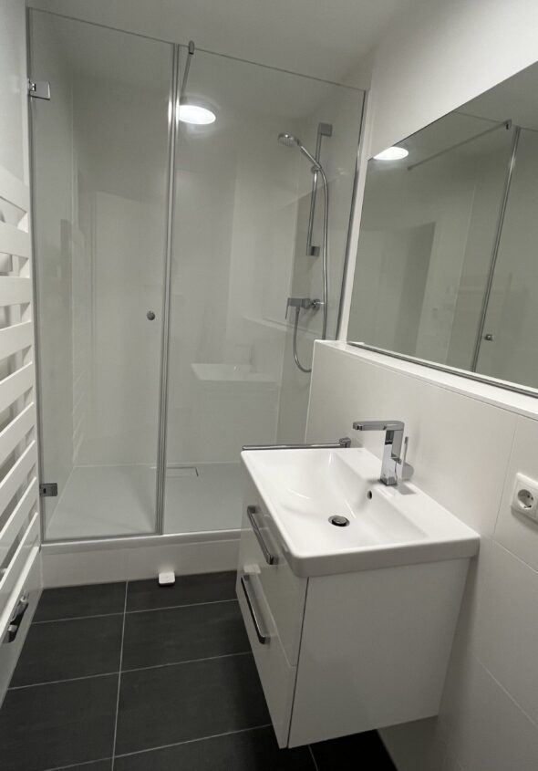 Amenajări băi Satu Mare